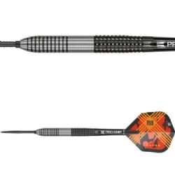 Raymond van Barneveld Gen-3 Swiss Point 95% 21 gram 