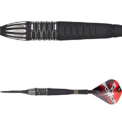 Phil Taylor Raw Power G11 95% Swiss Point 24 gram 